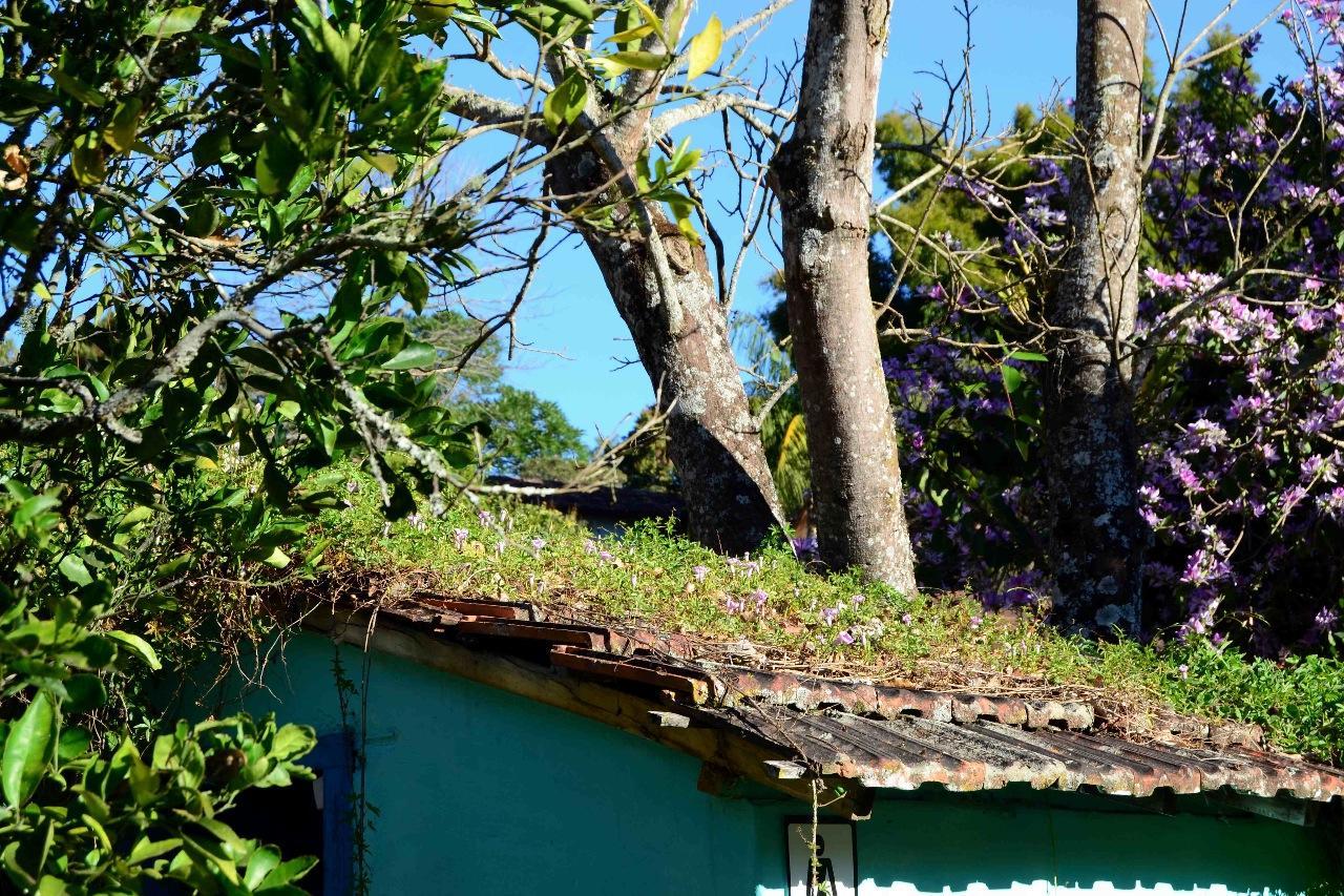 Hostel Tiradentes Buitenkant foto